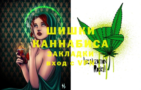 PSILOCYBIN Богородицк